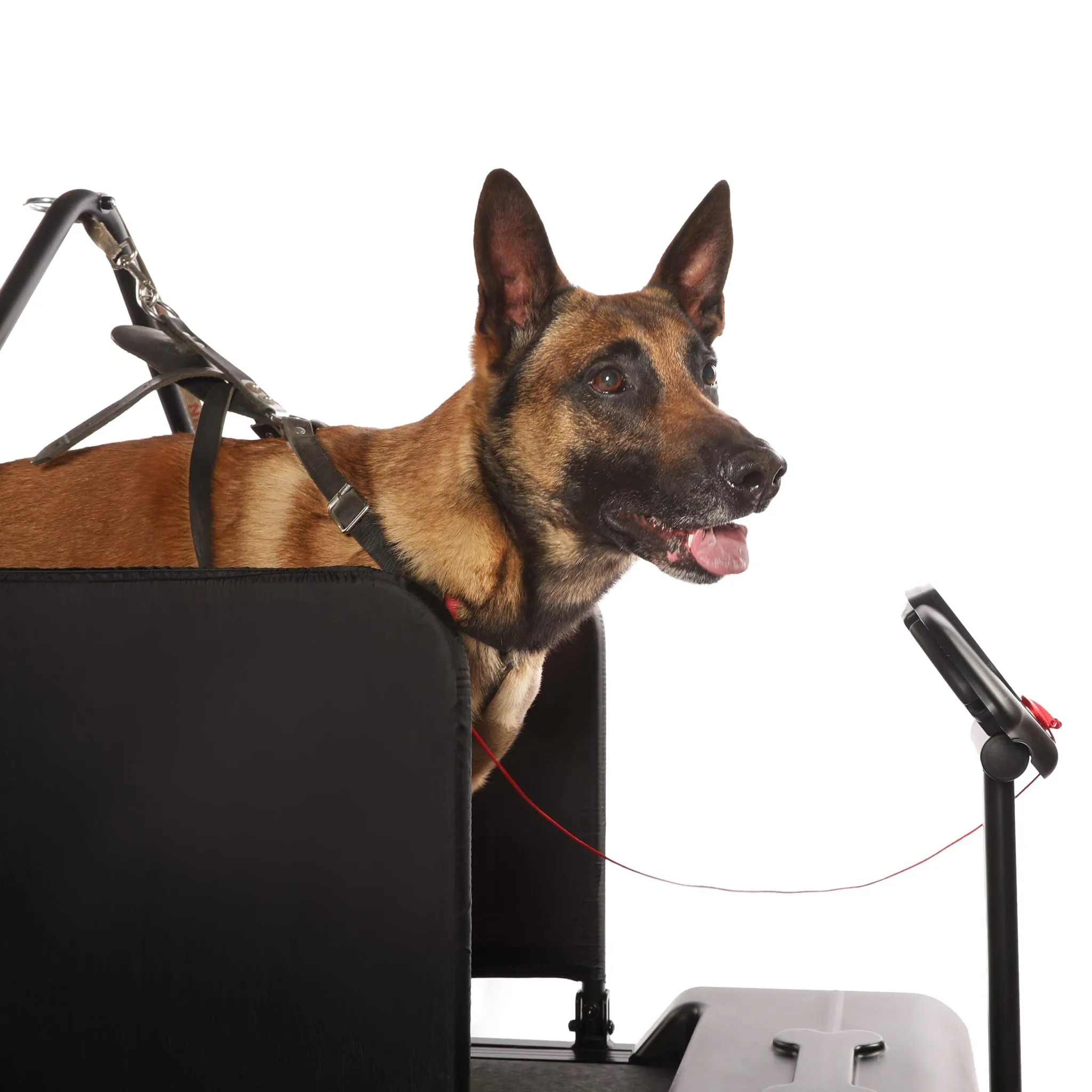 Dog Runner Treadmill Tracks
