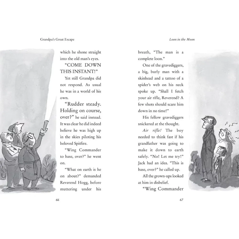 Grandpas Great Escape by David Walliams