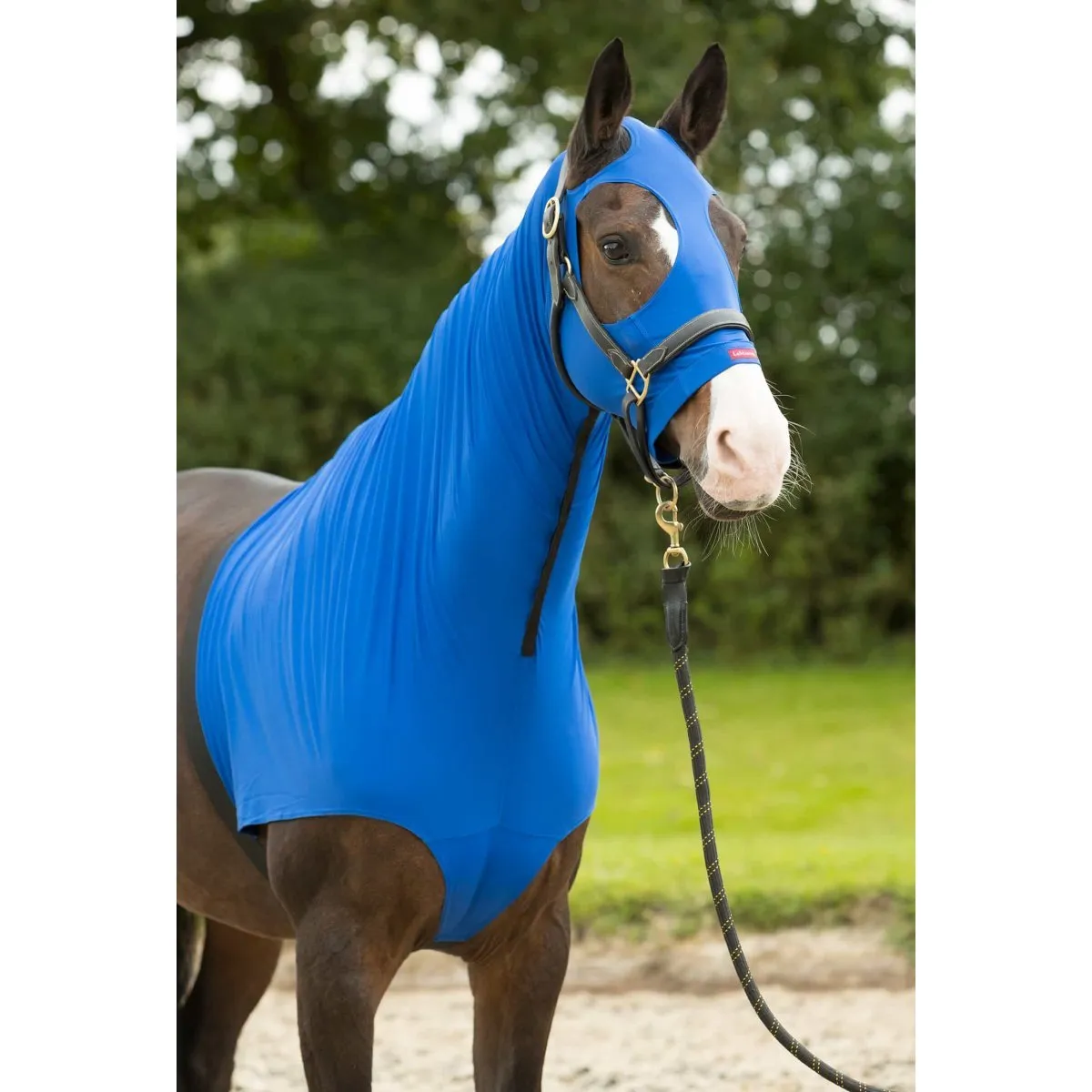 LeMieux Friction Free Lycra Hood