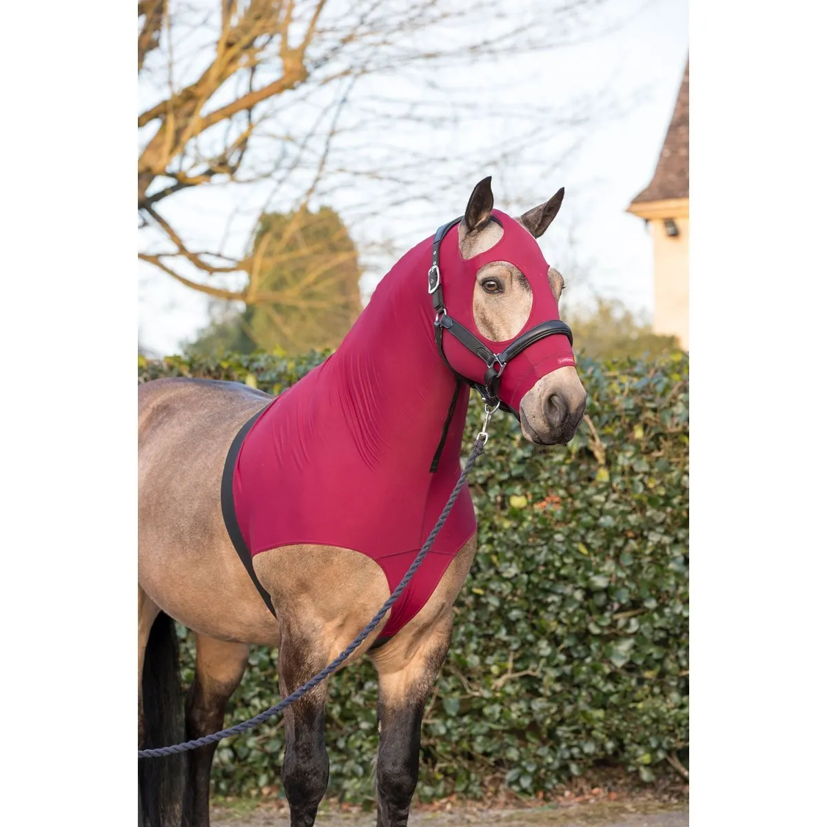 LeMieux Friction Free Lycra Hood